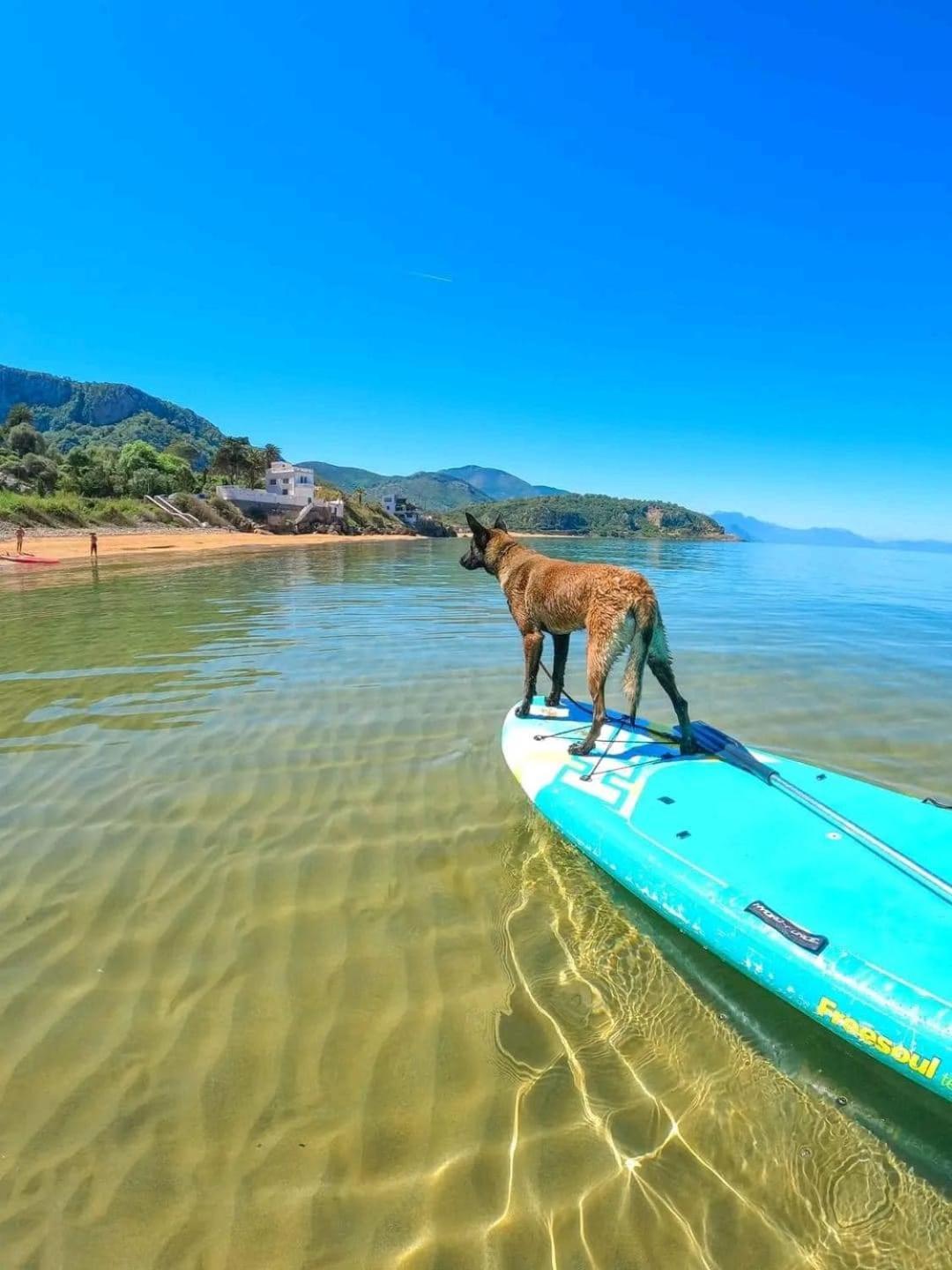 Hotel Plage D'Or Jijel Ngoại thất bức ảnh